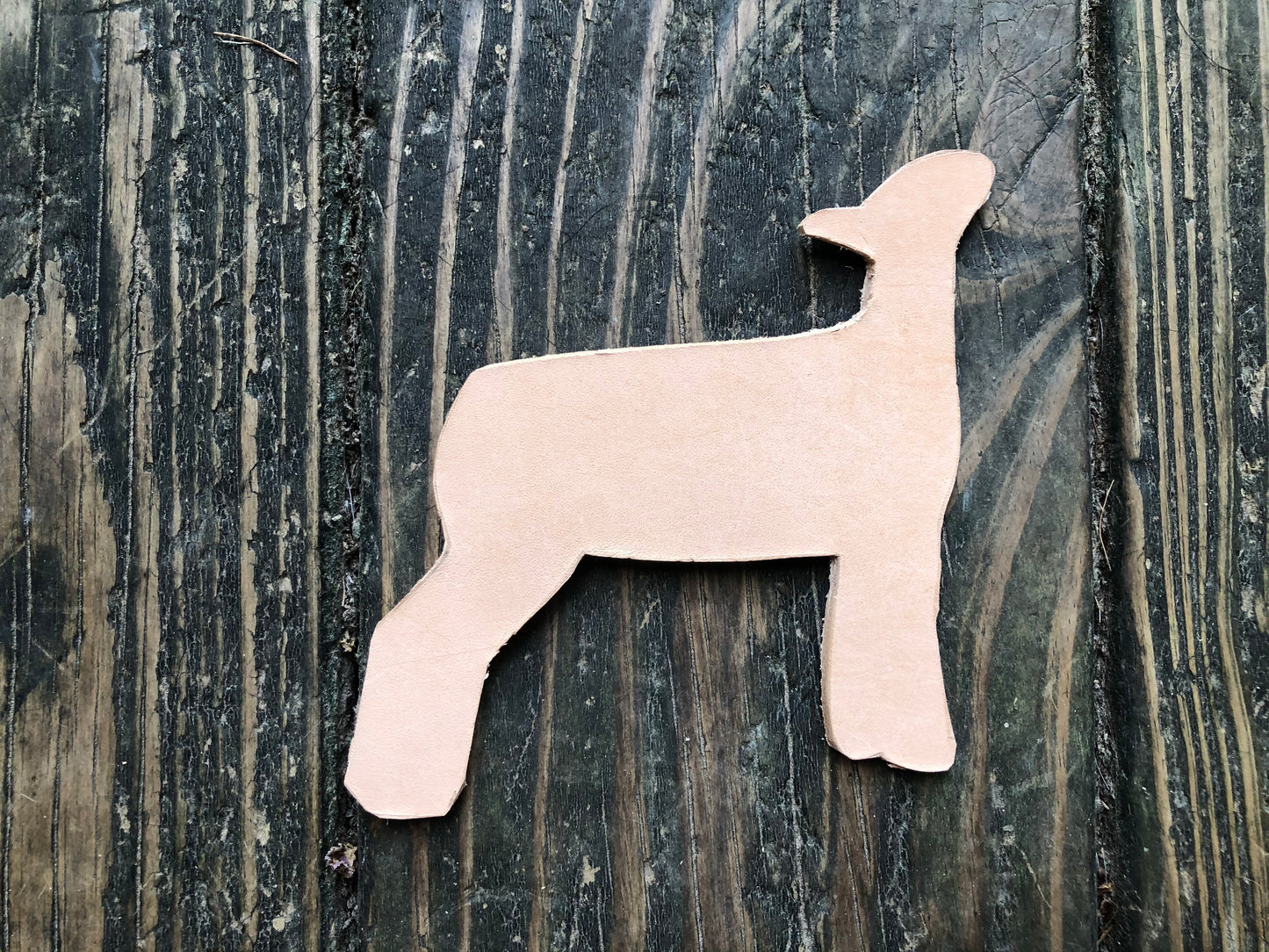 Custom Order Livestock Show Lamb Key Chain