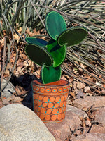 Leather Prickly Pear Cactus Coaster Gift Set