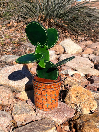 Leather Prickly Pear Cactus Coaster Gift Set