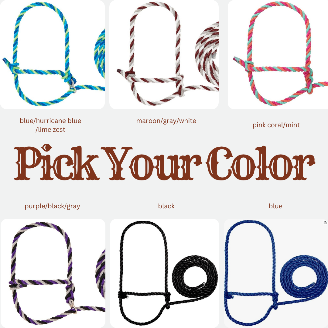 Hand Tooled Leather Noseband Rope Cattle Halter – Custom Name