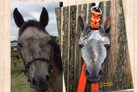 Custom Order Horse Face Key Chain