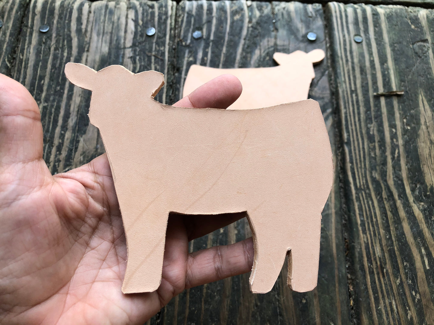Custom Order Livestock Show Club Calf Key Chain