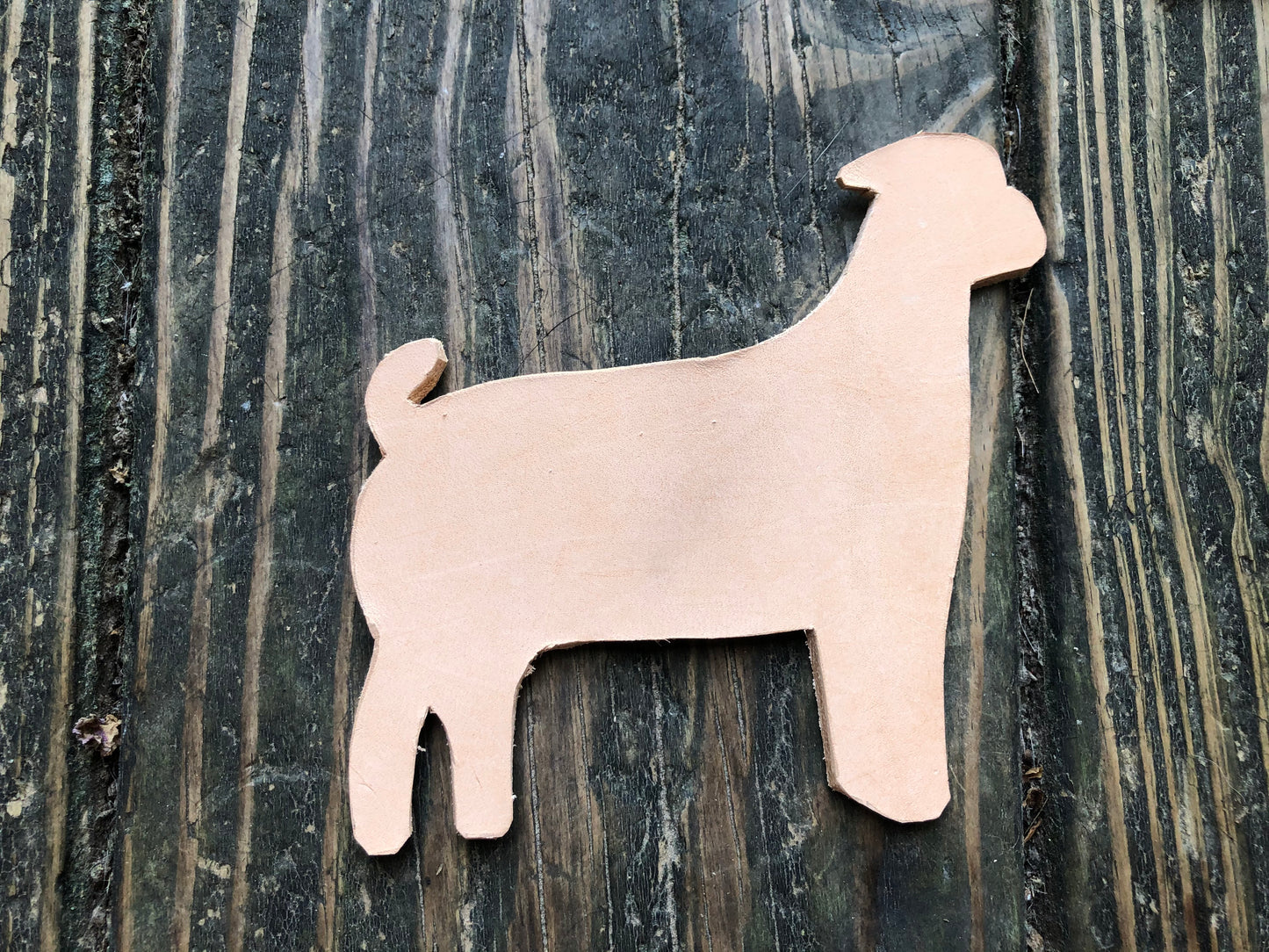 Custom Order Livestock Show Goat Key Chain