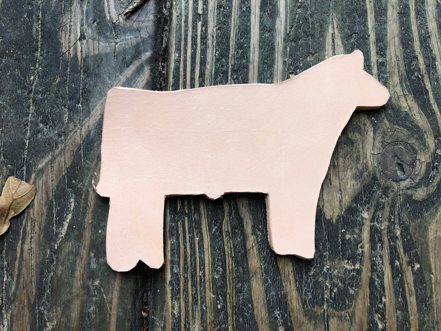 Custom Order Livestock Show Steer Key Chain